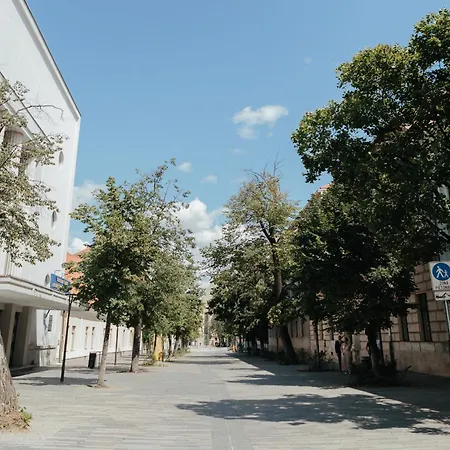 Contessa Napoca Kluż-Napoka