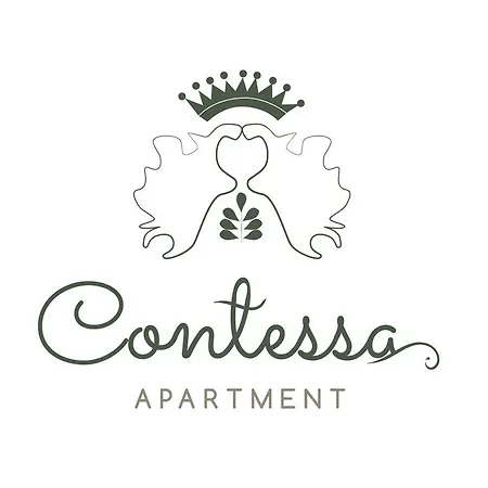 アパート Contessa Napoca クルージュ＝ナポカ