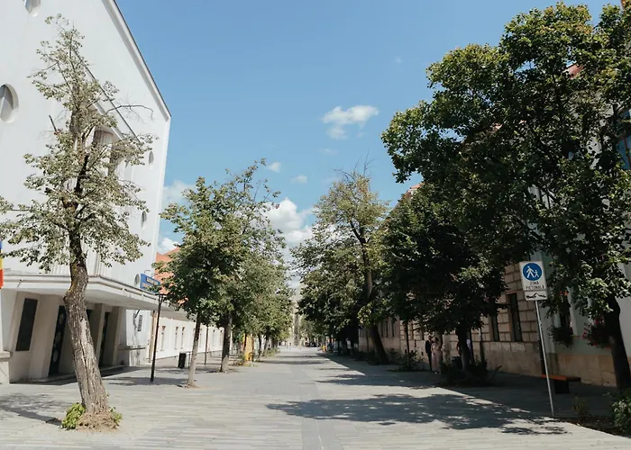 Contessa Napoca Kluż-Napoka