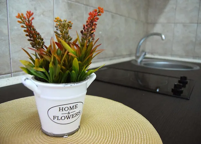 Contessa Napoca * Kolozsvár