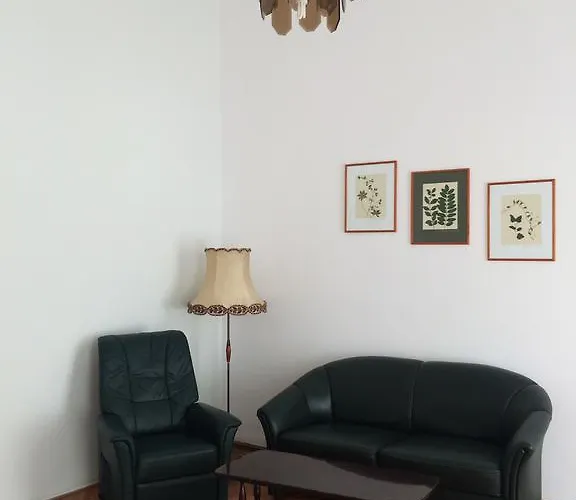 Contessa Napoca Cluj-Napoca